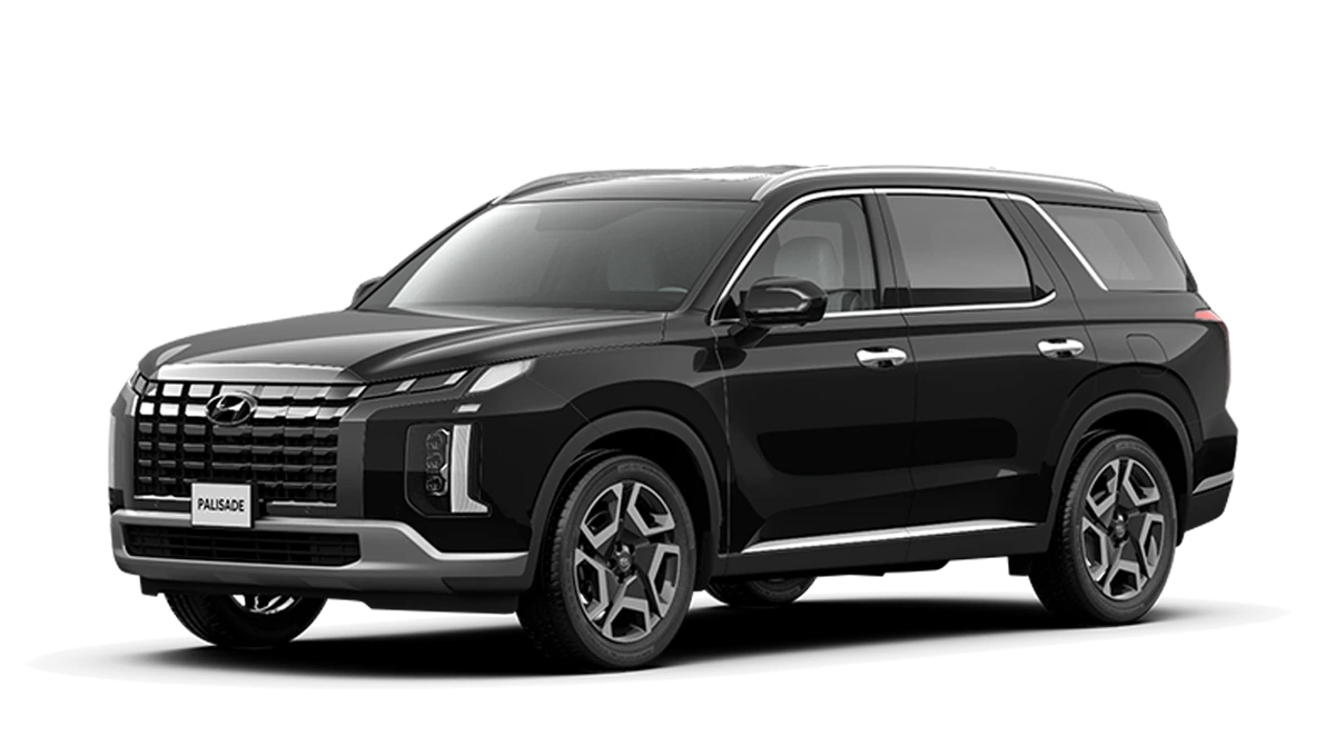 Hyundai Palisade Bình Định