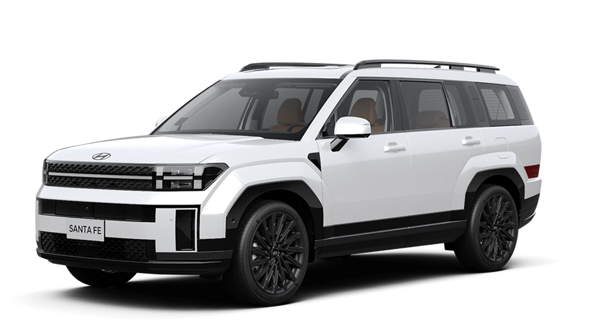 Hyundai Santafe Bình Định