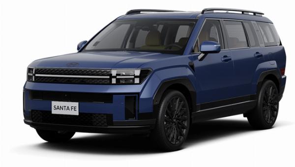 Hyundai Santafe Bình Định